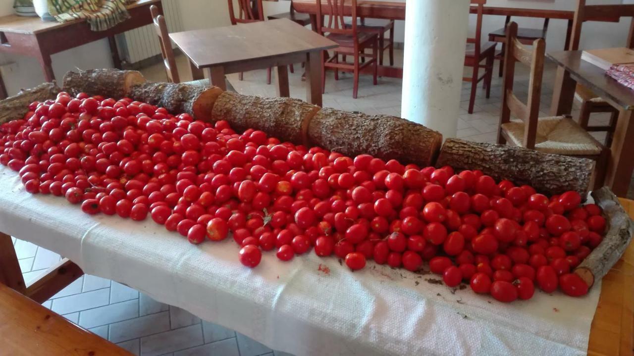 Le Terre D'Abruzzo Hostal Alanno Exterior foto
