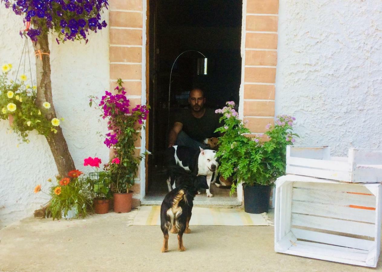 Le Terre D'Abruzzo Hostal Alanno Exterior foto