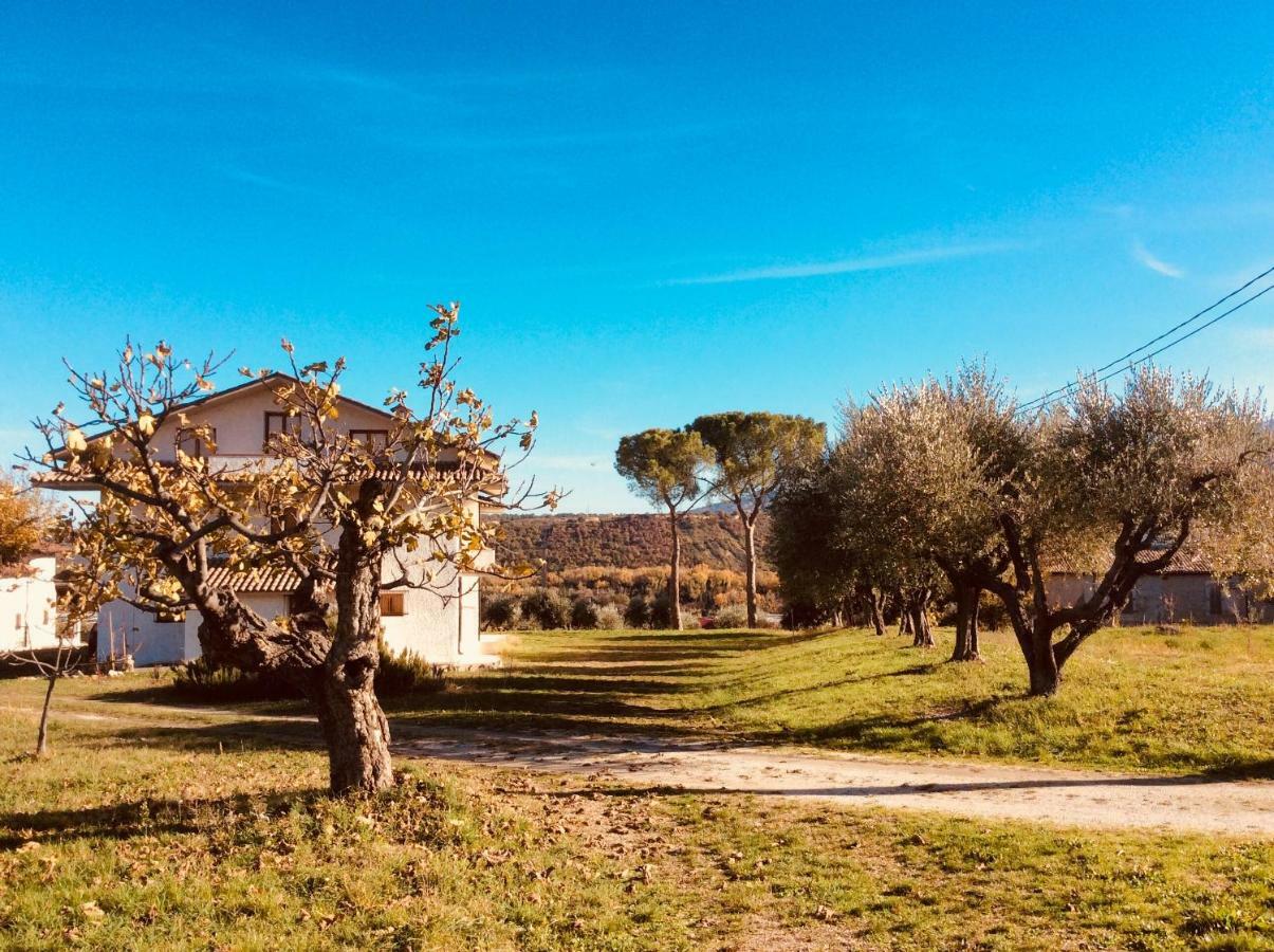 Le Terre D'Abruzzo Hostal Alanno Exterior foto