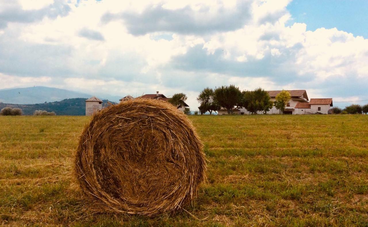 Le Terre D'Abruzzo Hostal Alanno Exterior foto
